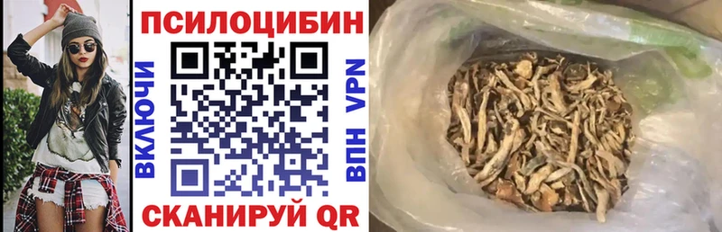 Псилоцибиновые грибы Magic Shrooms  где продают наркотики  KRAKEN онион  Воркута 